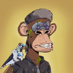 EvolutionApes#2308