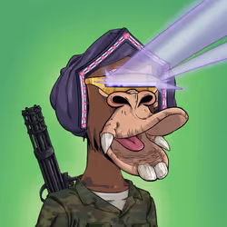 2598