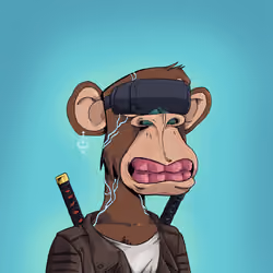 EvolutionApes#5071