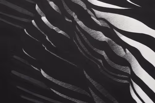 Item #89731617334813536188299769760112280172776697654393620116350569136410100498433 Media