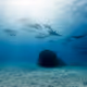 Ocean's Enchantment