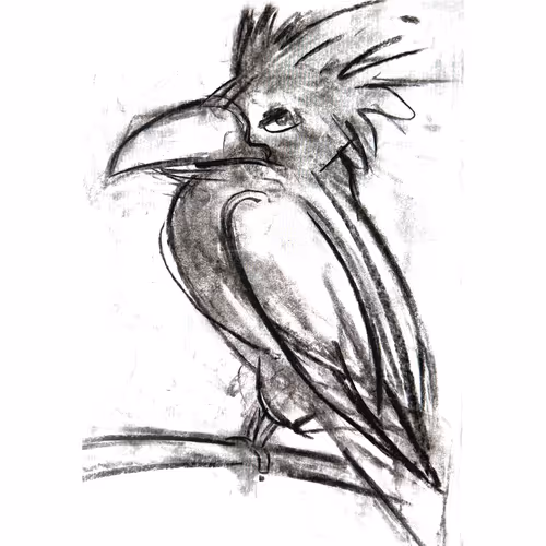 Charcoal X NFT