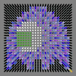 509