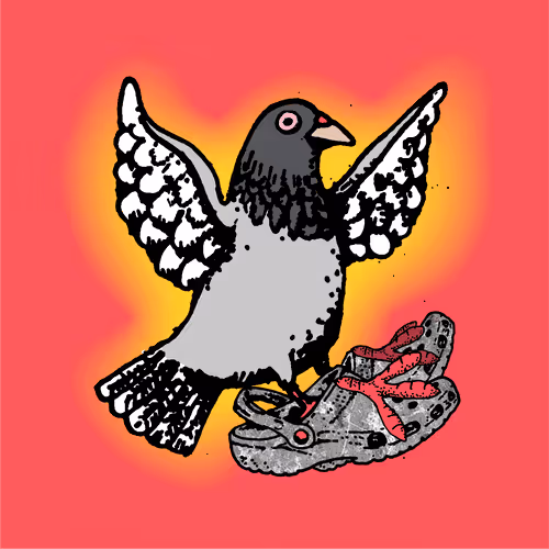 Stapleverse Nrg Crocs