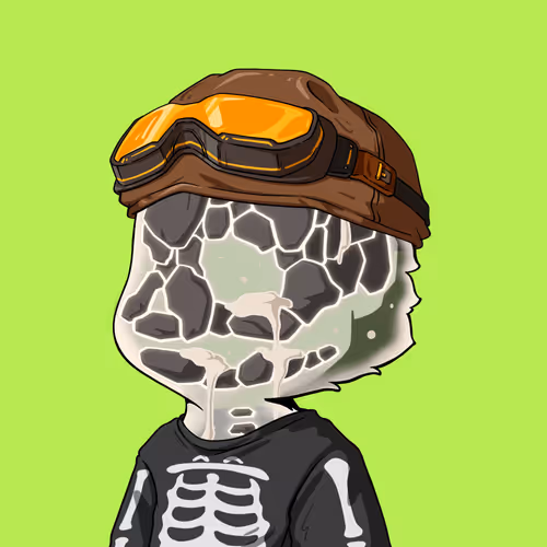 Lil Z S Adventure