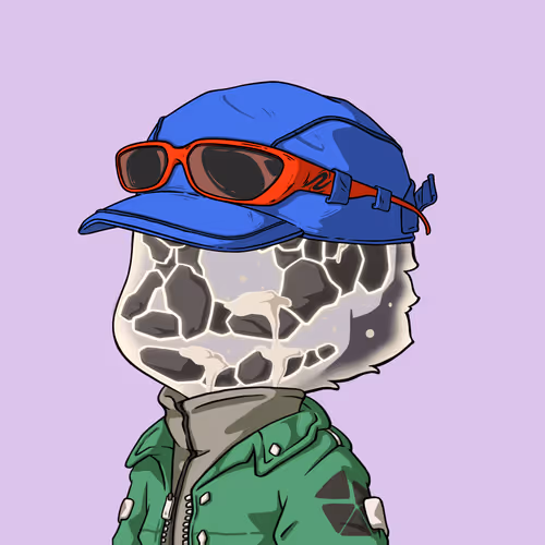 Lil Z S Adventure