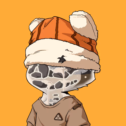 Lil Z S Adventure