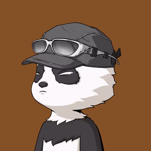 Lil Z S Adventure