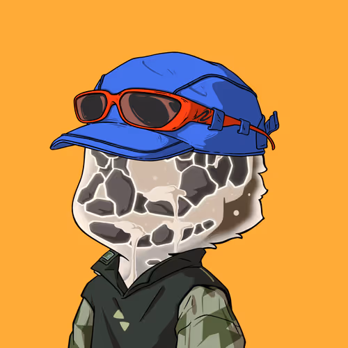 Lil Z S Adventure