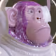 5081