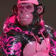 1603