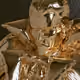 Puffy Vampire #2430 · 24K Gold