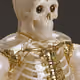 37