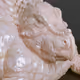 Puffy Dino #6332