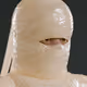 6733