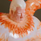 2531