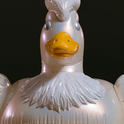 Puffy Duck #5294