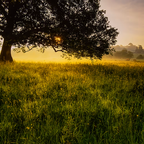The Velvia Chronicles