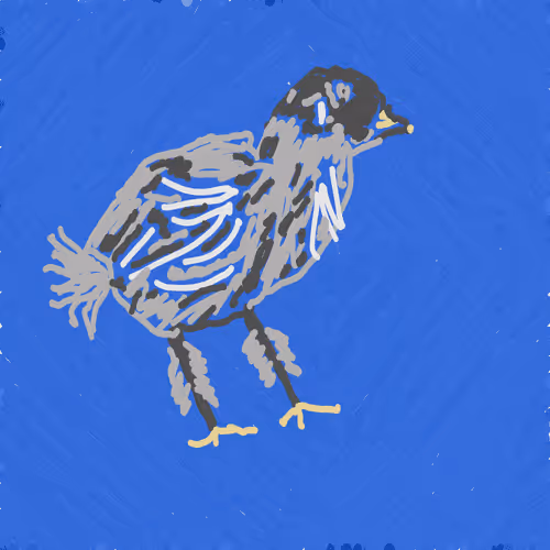 back 2 nature bb chicken