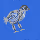 back 2 nature bb chicken