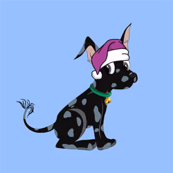 Xolo Puppies #841