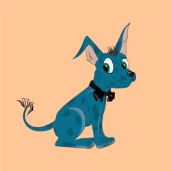 Xolo Puppies #1719