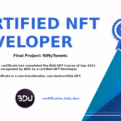 Certified NFT Developer
