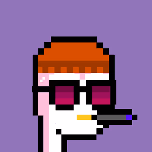 Pudgy Punk Penguin