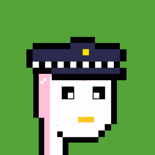 Pudgy Punk Penguin