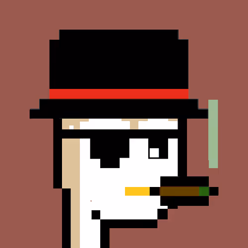 Pudgy Punk Penguin