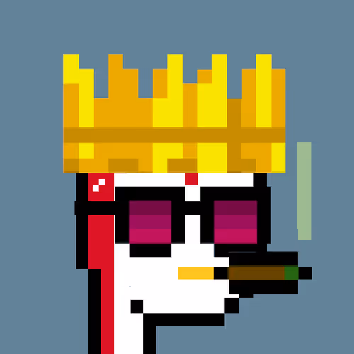 Pudgy Punk Penguin