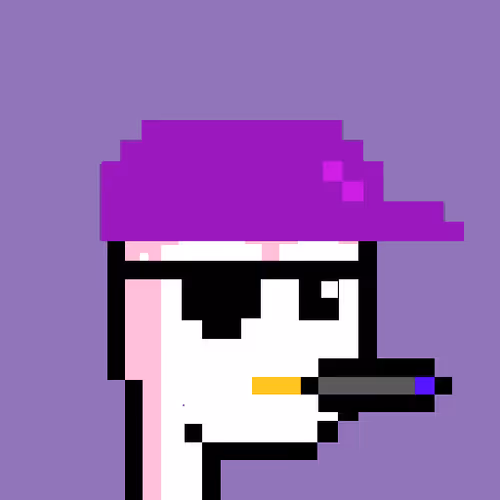 Pudgy Punk Penguin