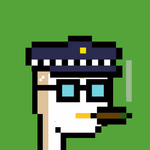Pudgy Punk Penguin