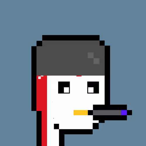Pudgy Punk Penguin