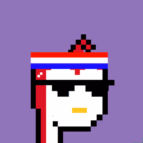 Pudgy Punk Penguin