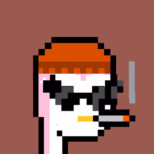 Pudgy Punk Penguin