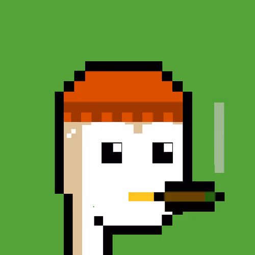 Pudgy Punk Penguin