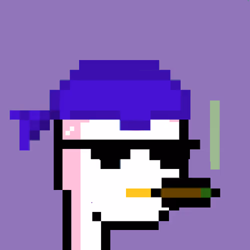 Pudgy Punk Penguin