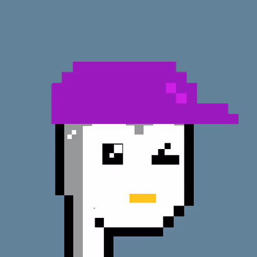 Pudgy Punk Penguin