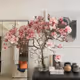 224
