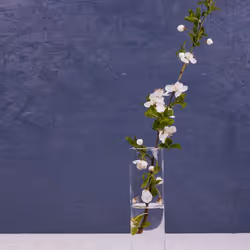 182