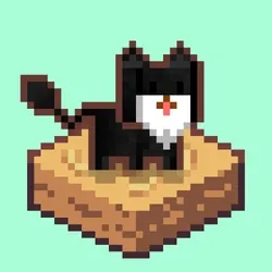 uncommon cats #317