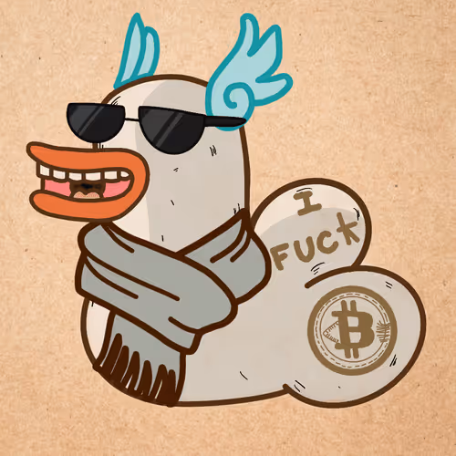 What The Fuck Duck