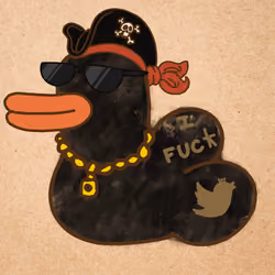 WTF Duck #2588