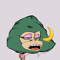 1144