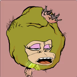 579