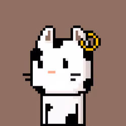 CityRabbit# 2509