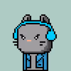 CityRabbit# 731