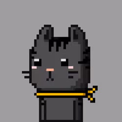 CityRabbit# 2511