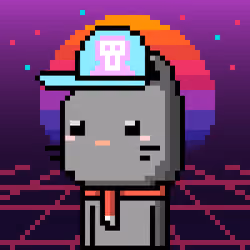 CityRabbit# 733